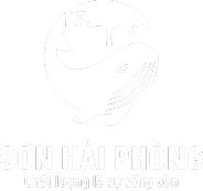 SON HAI PHONG